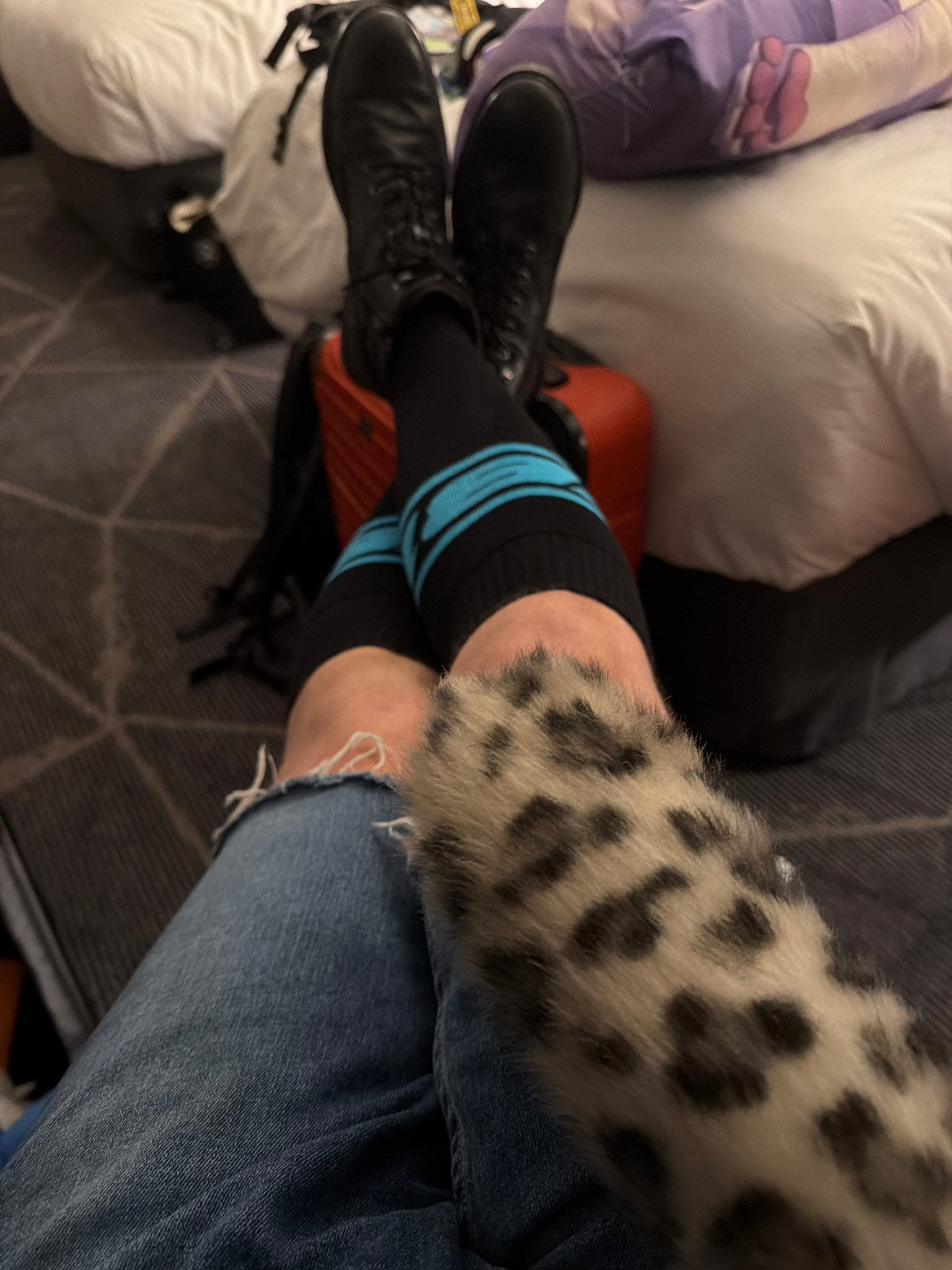 Frostbyte relaxing after a busy day